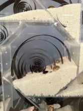 Load image into Gallery viewer, Ann Wiseman Kinetic Sand Fountain Sculpture in Walnut, Lucite, and Brass