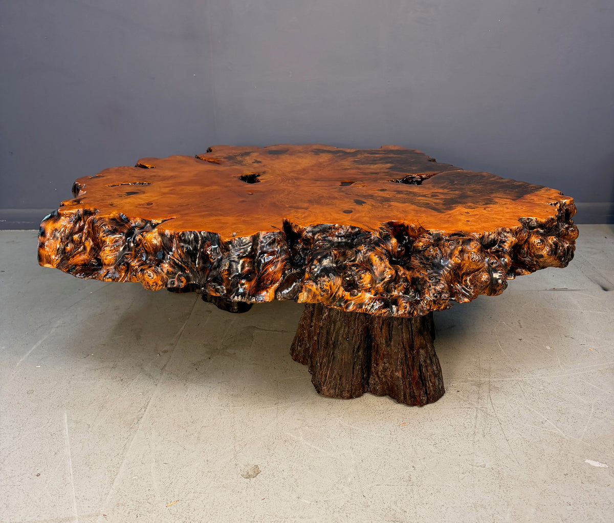 1970s California Redwood Burl Live Edge Coffee Table on Redwood Stump Base