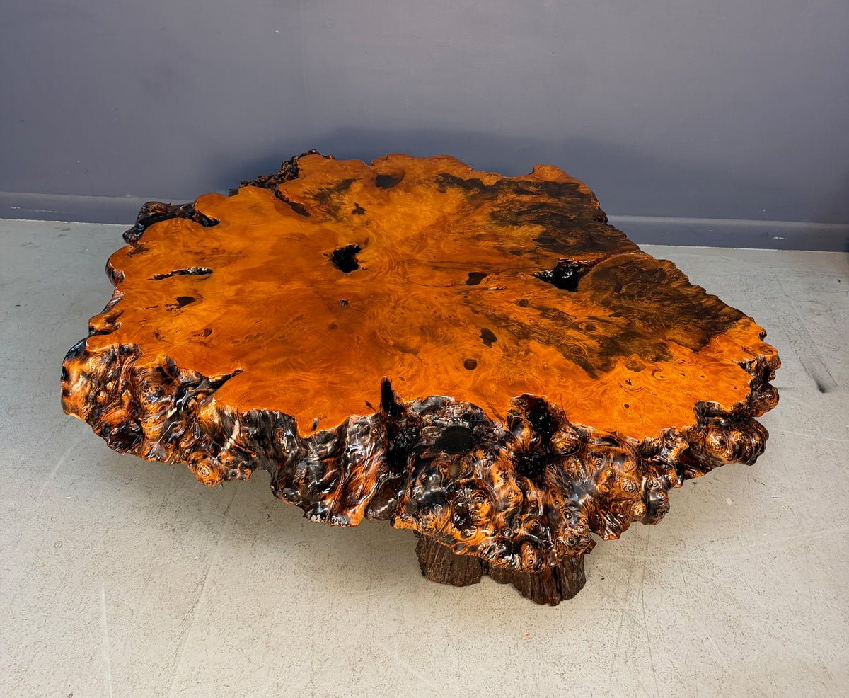 1970s California Redwood Burl Live Edge Coffee Table on Redwood Stump Base
