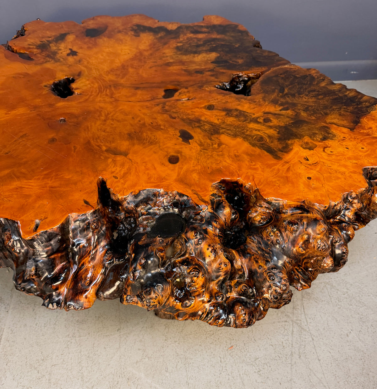 1970s California Redwood Burl Live Edge Coffee Table on Redwood Stump Base