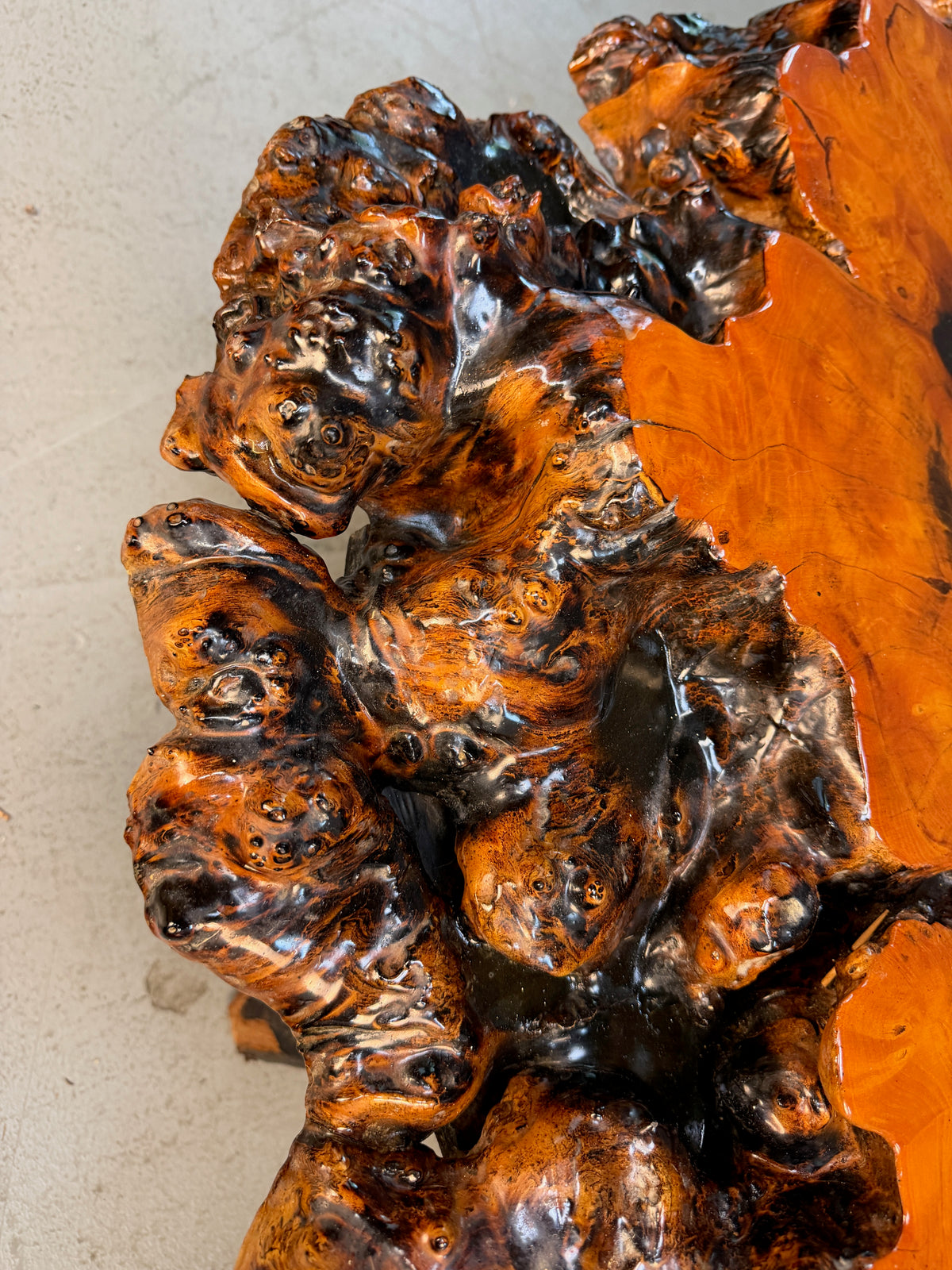 1970s California Redwood Burl Live Edge Coffee Table on Redwood Stump Base