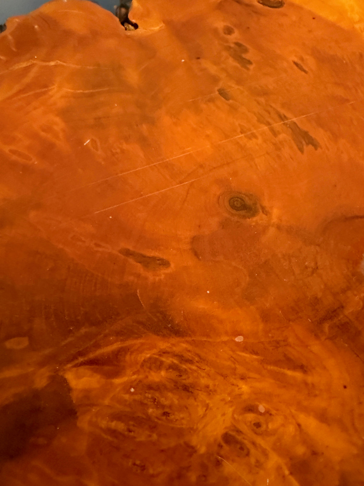 1970s California Redwood Burl Live Edge Coffee Table on Redwood Stump Base